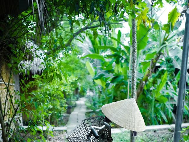 Dan Sinh Homestay 껀터 외부 사진